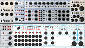 My vivo Buchla