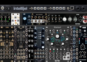 Palette 62hp Looper Record Rev
