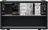 111 - winterbloom 94hp intellijel 001 (copy)