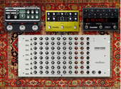 Beauty &amp; Ruin Pedalboard (Studio)