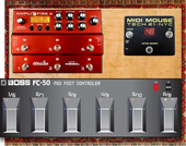 My unslain AF6 Midi Pedalboard