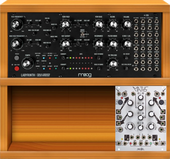 My ethmoid Eurorack (copy)