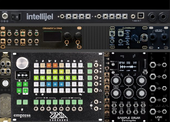 Zoia noise palette (copy)