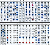 LW 2 Panel V2