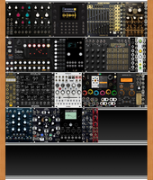 Big Case (copy)