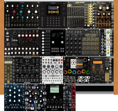 Big Case (copy)
