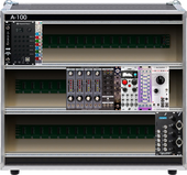 Analog Beast (copy) (copy)
