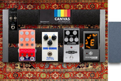 PEDAL STEEL