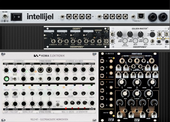 My scincoid Eurorack (copy)