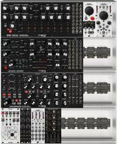 Moog Live