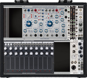 Buchla System 100 Electric Music Fox (copy)