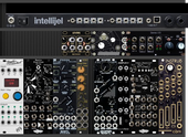 4u Intellijel Option 2
