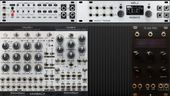 My brindled Eurorack