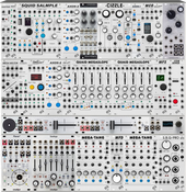 My fungal Eurorack (copy)