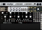 My akin Eurorack