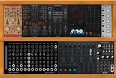 My birdlike Eurorack