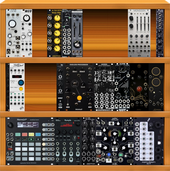Performance Case