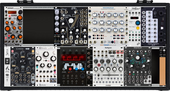 My fungal Eurorack (copy) (copy)