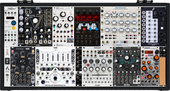 My fungal Eurorack (copy) (copy)
