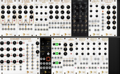 My labrid Eurorack