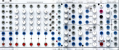 Serge (Low-Gain Sequence/Control)