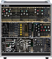 My cichlid Eurorack (Mantis) (Current) (copy)