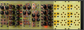 My triform Eurorack