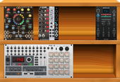 My tortile Eurorack