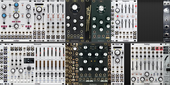 My birdlike Eurorack