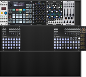 My colly Eurorack