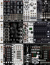 moog vari