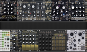My lyrate Eurorack