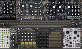 My lyrate Eurorack