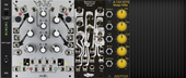 Newbiemoogieexpander