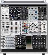 Peter Case L (aktuell)