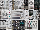 mantis 2025-5-6 (copy)