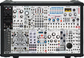 My squamate Eurorack