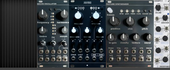My primate Eurorack