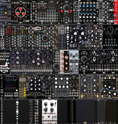 AUGUST (Current) (copy)