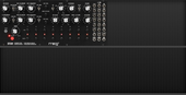 New Thang (copy)