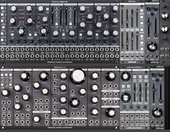 PGH lifeforms black 68