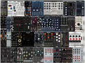 My trichoid Eurorack