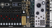 My rhinal Eurorack