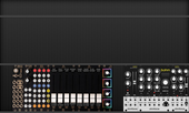 My strigose Eurorack