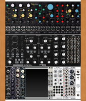 moog+taiga