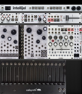 4U 62HP intellijel palette multigrain 9