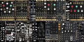 My cichlid Eurorack (Mantis) (Current) (copy)