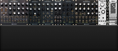 My owllike Eurorack