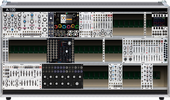 My buckskin Eurorack (copy)