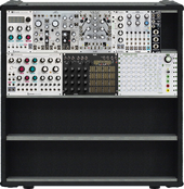 Enclave case